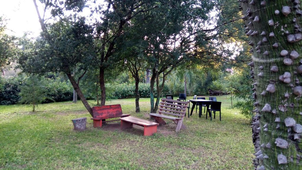 Las Curiosas Hotel Avia Terai Kültér fotó